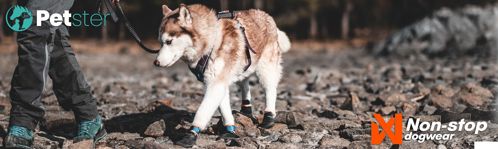 Canis wear shop dog boots